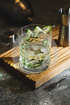 Alcohol cocktail with cucumber in whiskey glass with ice cubes. Summer spirit drink and shaker