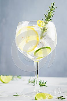 Alcohol drink, gin tonic cocktail, with lemon, lime, rosemary and ice on light background, copy space. Iced drink