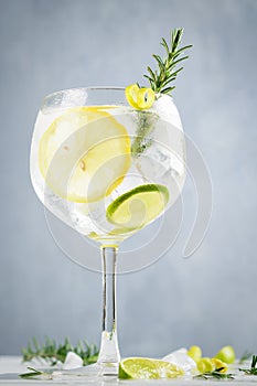 Alcohol drink, gin tonic cocktail, with lemon, lime, rosemary and ice on light background, copy space. Iced drink