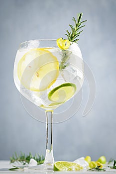 Alcohol drink, gin tonic cocktail, with lemon, lime, rosemary and ice on light background, copy space. Iced drink photo
