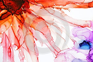 Alcohol ink abstract texture