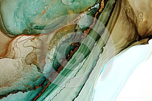 Alcohol ink abstract texture