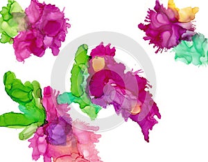 Alcohol ink multicolor flowers. Fluid ink abstract background. art for design photo