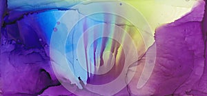 Alcohol ink multicolor texture. Fluid ink abstract background. art for design