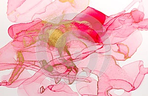 Alcohol ink pink abstract background. Floral style watercolor texture. Pink and gold paint stains illustration.