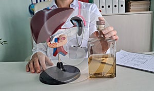 Alcohol liver damage and liver cirrhosis concept with liver with flask of alcohol in hands of doctor