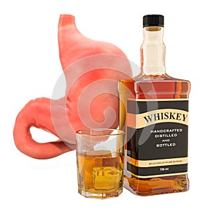 Alcohol`s effects on the stomach concept. Human stomach with alcohol drink. 3D rendering