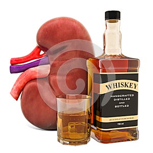 Alcohol`s Impact on Kidney Function concept. Human kidney with alcohol drink. 3D rendering
