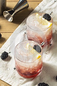 Alcoholic Blackberry Gin Bramble Cocktail