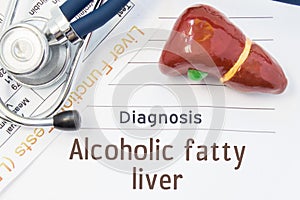 Alcoholic fatty liver diagnosis. Anatomical 3D model of human liver is near stethoscope, results of laboratory tests of liver func