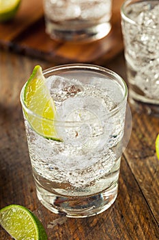 Alcoholic Gin and Tonic