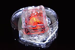 Stunning images of drinks with glowing ice cubes.  Bright colors with bubbles in a glass of champagne.