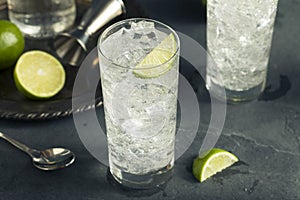 Alcoholic Vodka Tonic Highball Cocktail