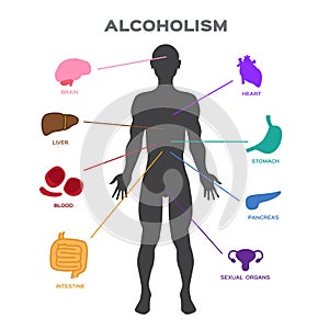 Alcoholism effect to human body . anatomy