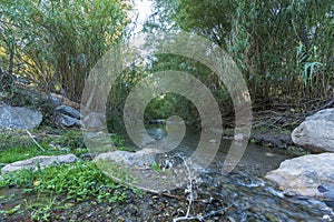 Alcolea River as it passes through Lucainena photo