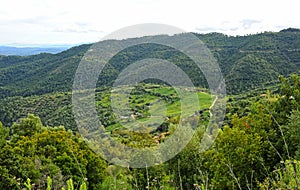 Alcornocales Natural Park Serrania de Ronda Andalusia Spain photo