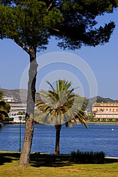 Alcudia,Mallorca(Majorca)