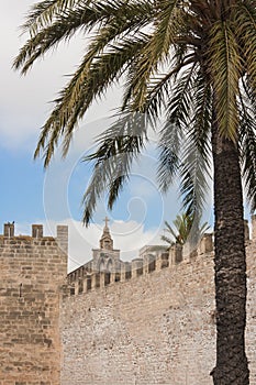 Alcudia Old Town Postcard