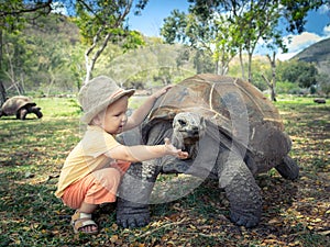 Aldabra giant tortoise and child