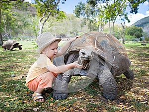 Aldabra giant tortoise and child