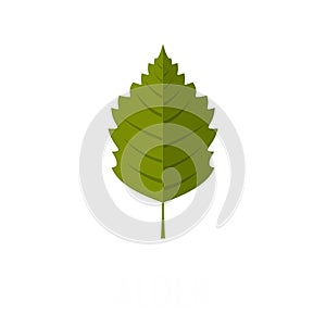 Alder leaf icon, flat style photo