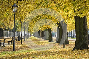 Aleje Ujazdowskie street in Warsaw, Poland