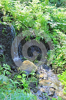 Alekovi waterfalls are a water cascade located on the river Skakavitsa Vitosha mountain in Bulgaria. Upper large Alekoâ€™s