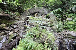 Alekovi waterfalls are a water cascade located on the river Skakavitsa Vitosha mountain in Bulgaria. Upper large Alekoâ€™s