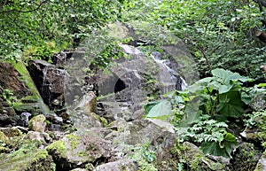 Alekovi waterfalls are a water cascade located on the river Skakavitsa Vitosha mountain in Bulgaria. Upper large Alekoâ€™s