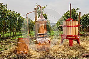 Alembic Copper, barrel and wine press in a vineyard