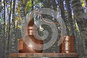 Alembic Copper. A distillation apparatus used for the production of alcohol, essential oils and moonshine.