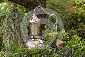 Alembic is a distilling apparatus