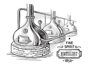 Alembic still for making alcohol inside distillery sketch