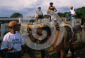 ALENQUER. Amazon Basin. BRAZIL