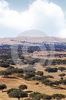 Alentejo landscape
