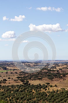 Alentejo landscape