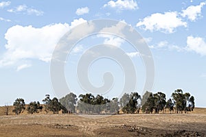 Alentejo landscape