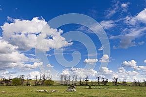 Alentejo landscape