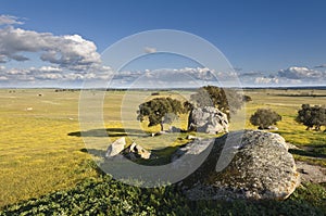 Alentejo landscape