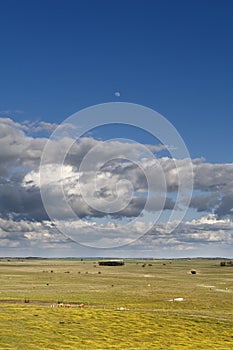 Alentejo landscape