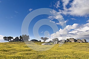 Alentejo landscape