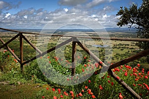 Alentejo Landscape