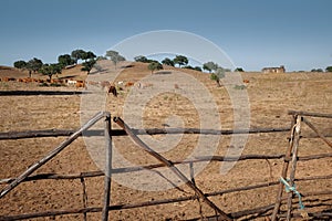 Alentejo Landscape