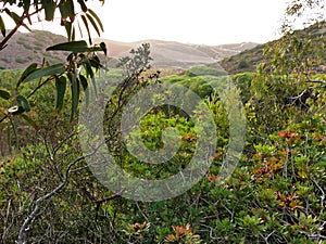 Alentejo landscape in southern Portugal