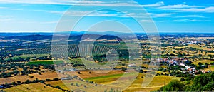 Alentejo Plain Landscape, Travel Portugal, Olive Trees Plantation