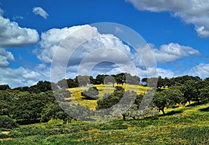 Alentejo, Portugal