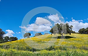 Alentejo region, Portugal