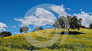 Alentejo region, Portugal