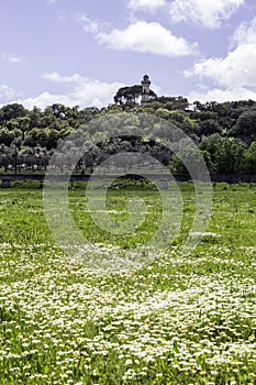 Alentejo region typical fields landscape, Portugal.