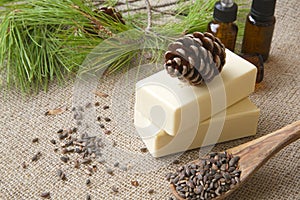 Aleppo pine oil soap